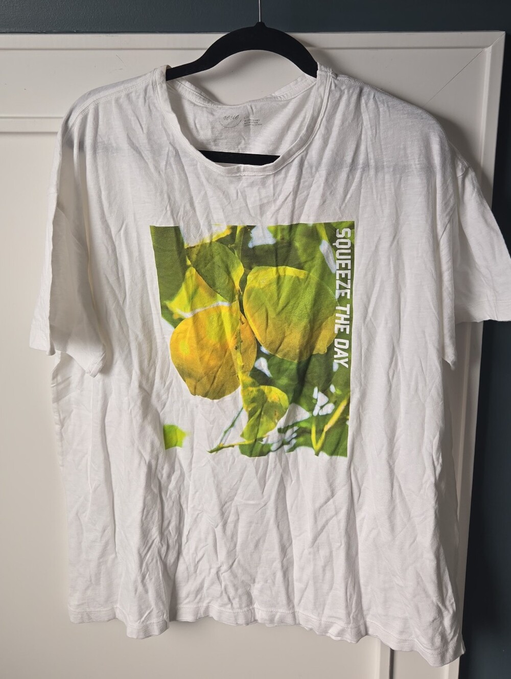 aerie White Crewneck Graphic Tee